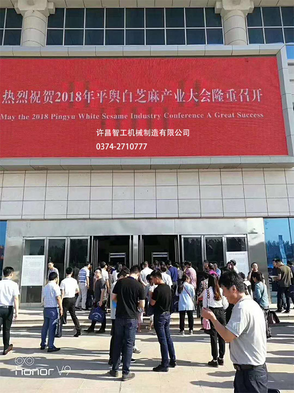 平舆白芝麻大会场外