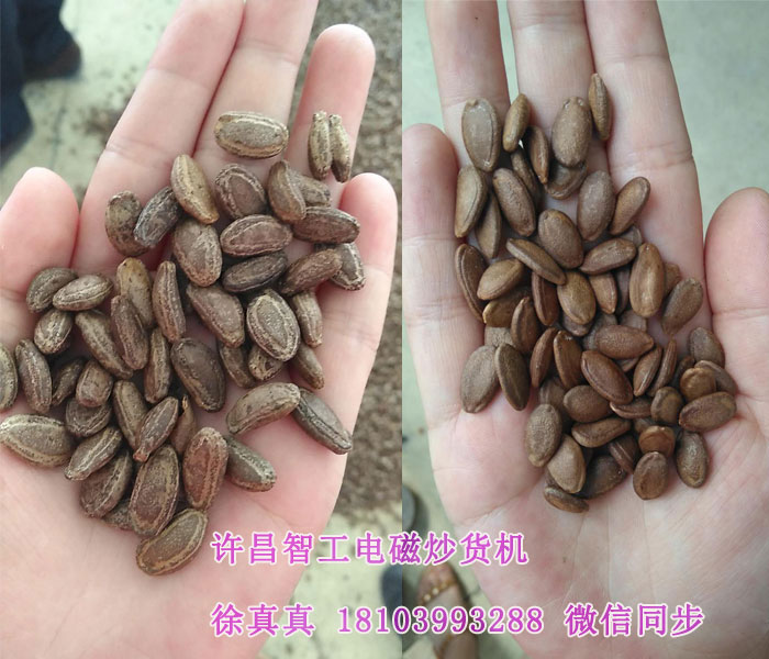 多功能炒货机