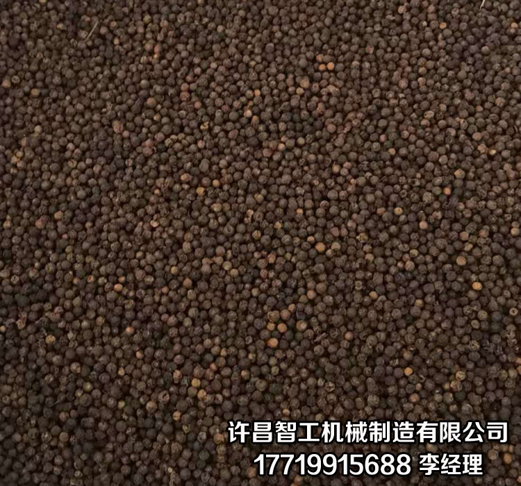 炒货设备