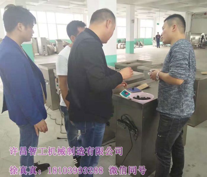 汤圆元宵制陷机