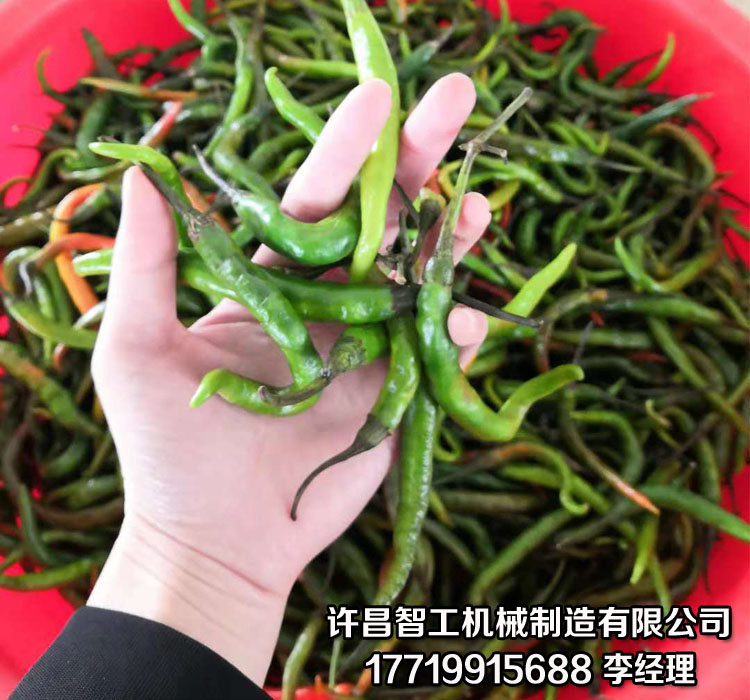自动炒货机