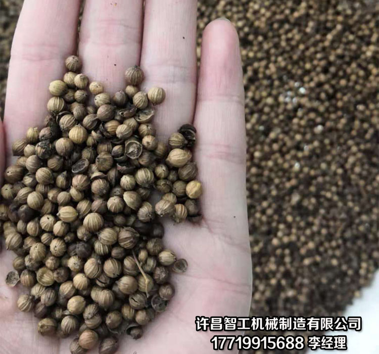 炒瓜子机