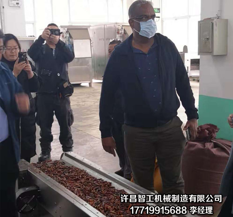 流水线炒货机