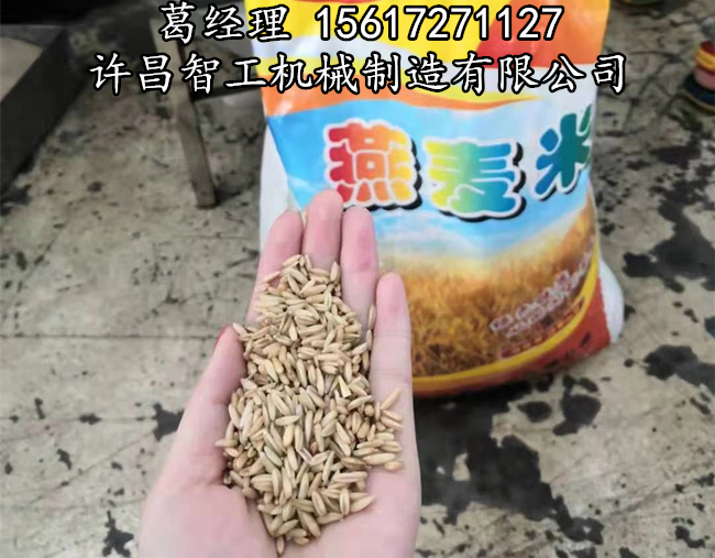 杂粮烘干机