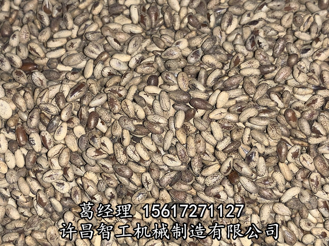 磨油芝麻