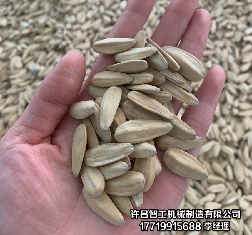 炒货机