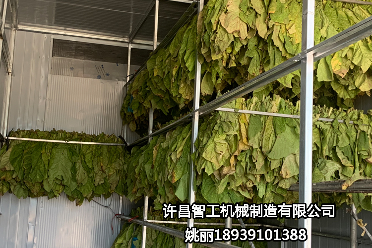 烟叶烘烤设备首选许昌智工空气能炕房-—热循环烤烟房