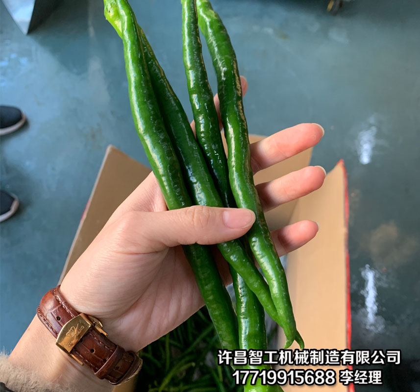 辣椒