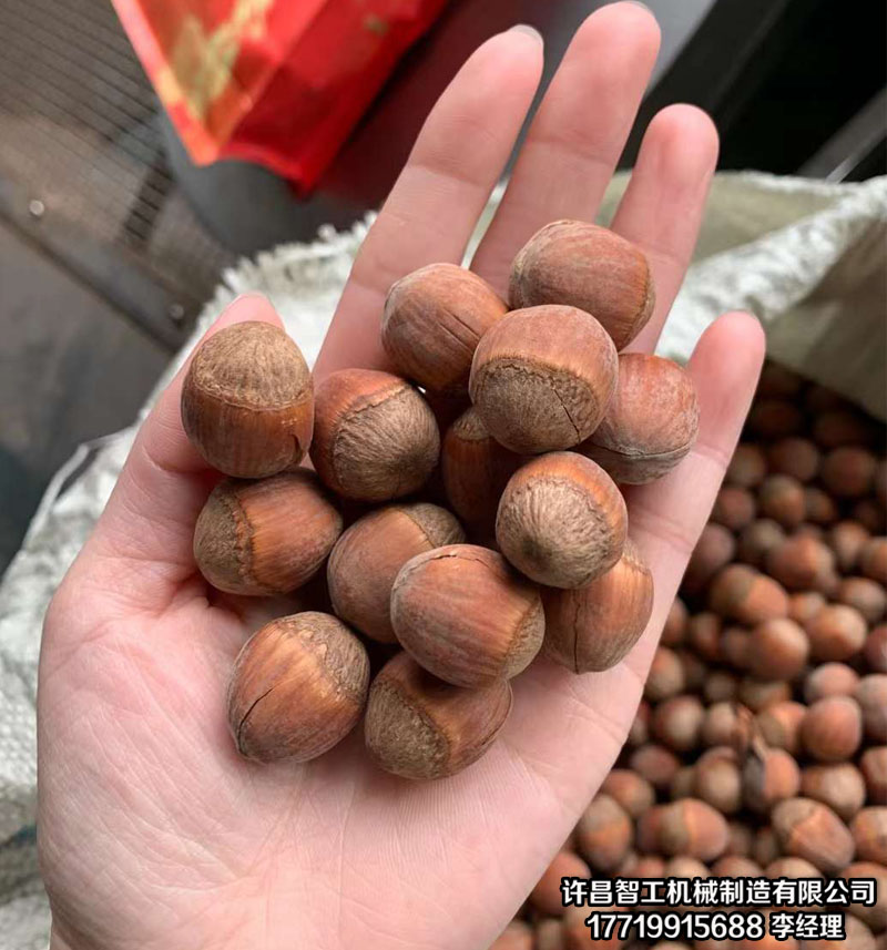 坚果炒货机