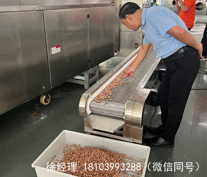 全自动炒货流水线