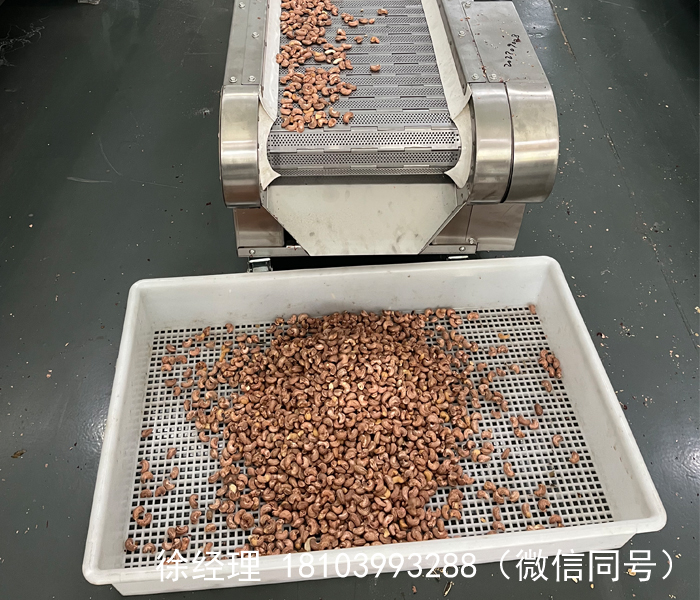 炒腰果流水线