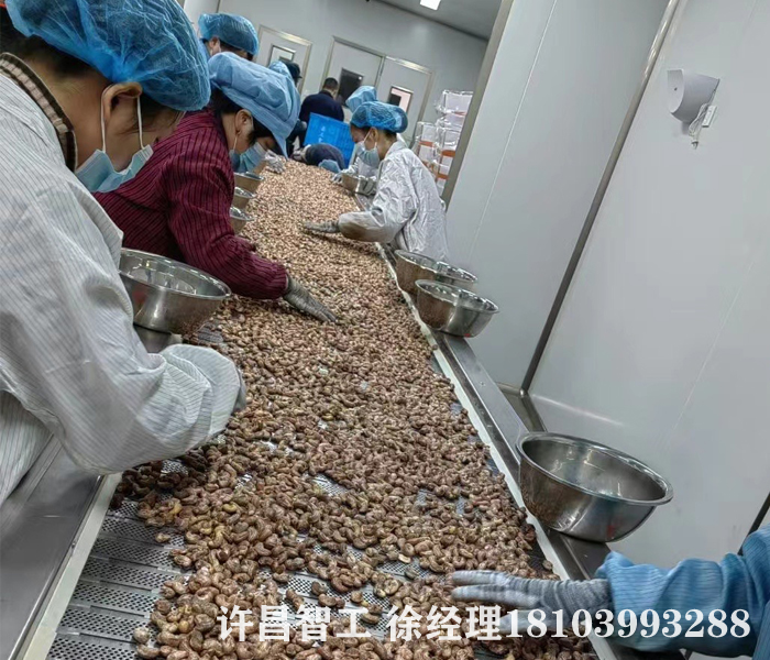 全自动炒腰果流水线
