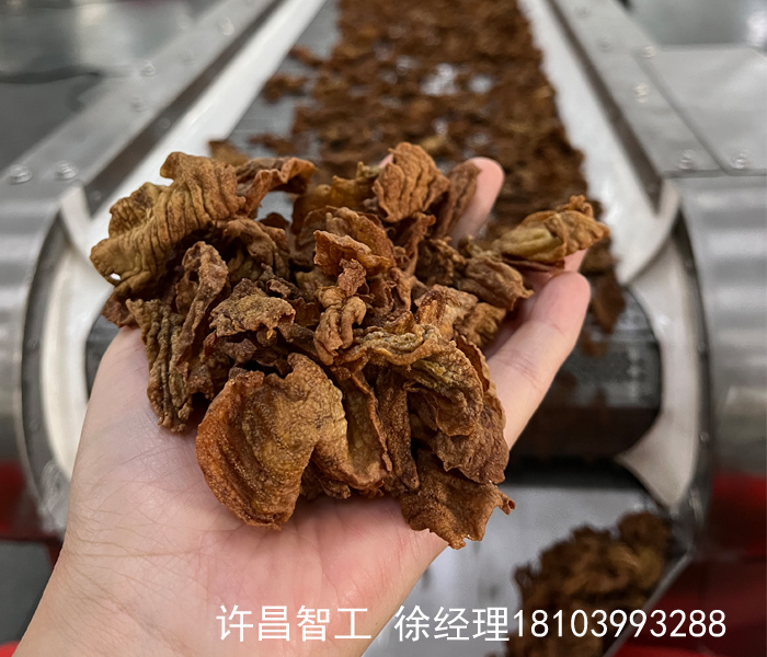 炒鸡内金机器