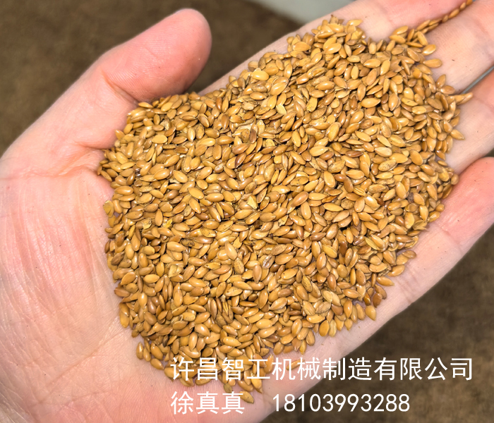 电磁炒货机