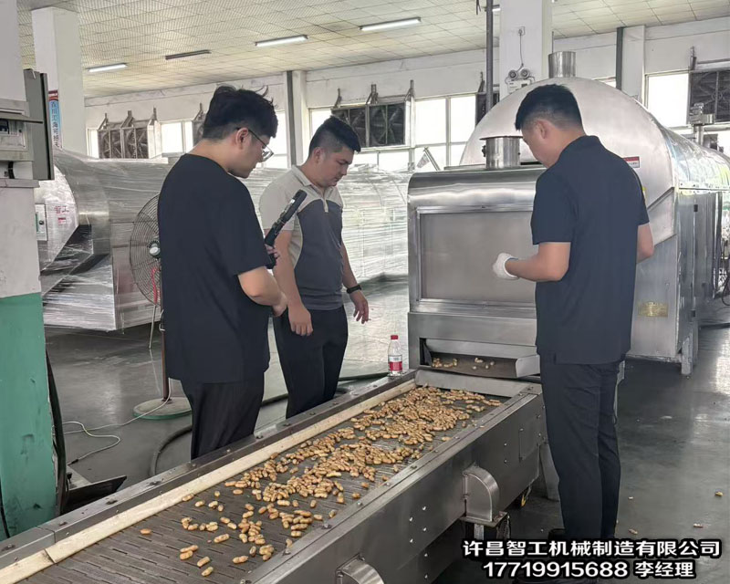 炒花生果生产线