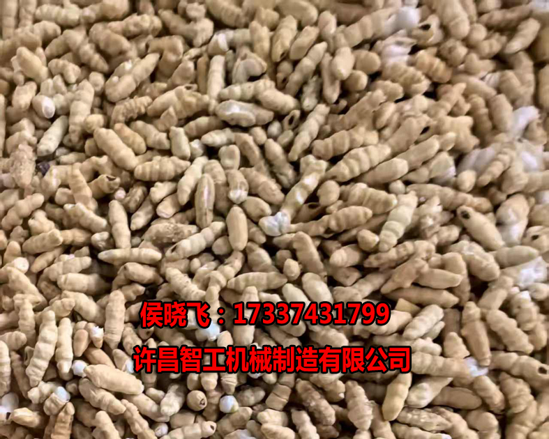 公司新闻