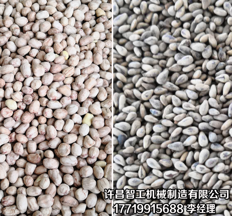 炒芝麻用什么炒货机更方便？