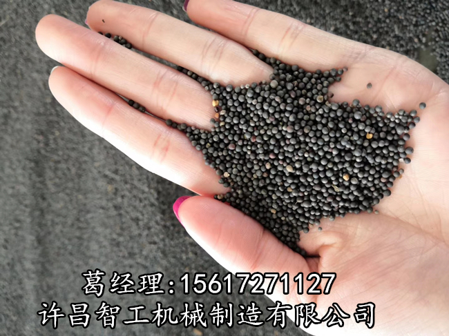 油菜籽电炒锅