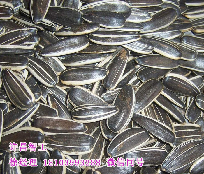 炒瓜子机器
