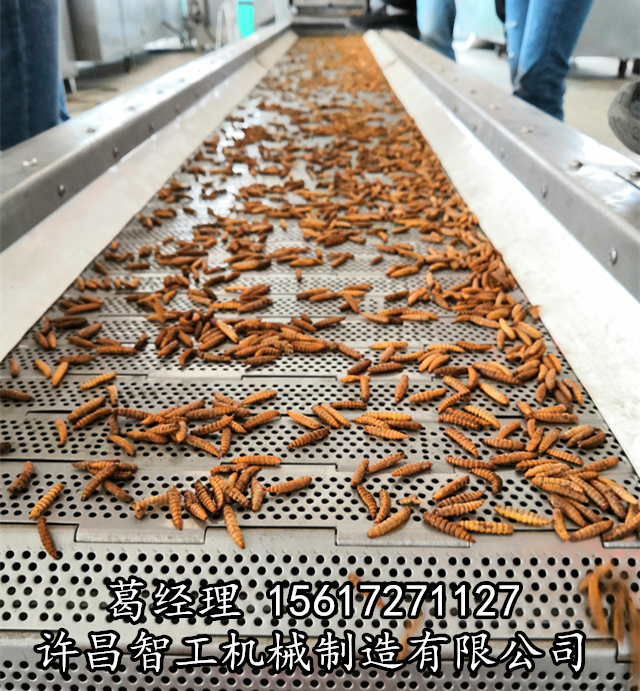 电磁炒货生产线