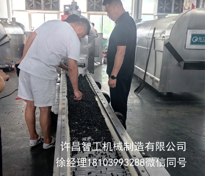 现场客户来料试机✨全自动电磁炒货流水线炒制黑豆！