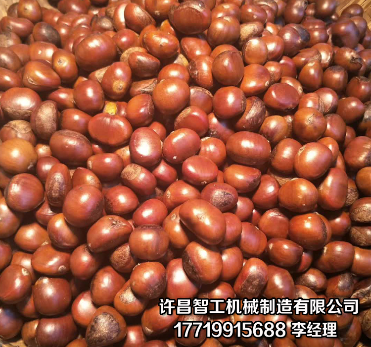 行业信息